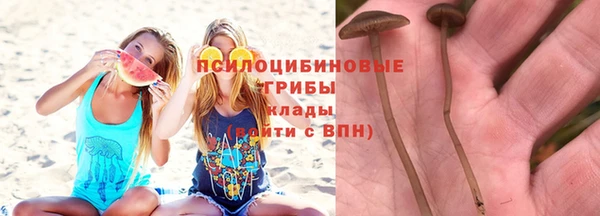 гашик Липки