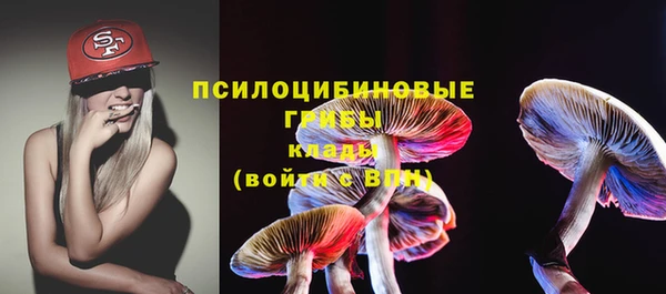 гашик Липки