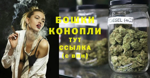 мдпв Лиски