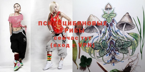 гашик Липки