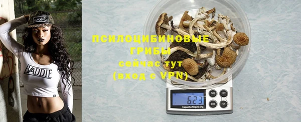 гашик Липки